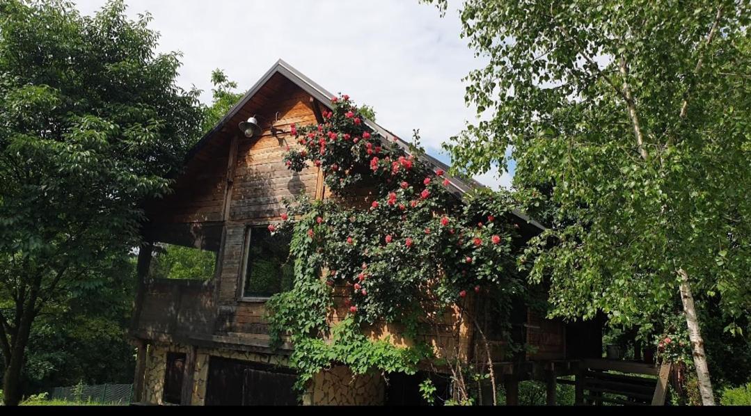 Log Cabin Belgrad Dış mekan fotoğraf